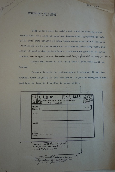 File:DSC04505lowjpg.jpeg