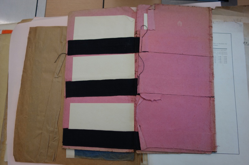 File:DSC04527lowjpg.jpeg