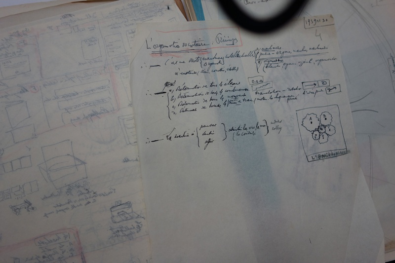 File:Archives MundaneumDSC04592.jpg