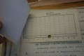 DSC04512lowjpg.jpeg