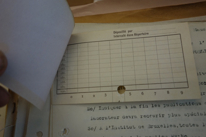 File:DSC04512lowjpg.jpeg